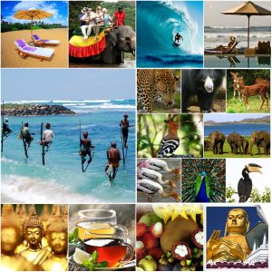 Sri Lanka culture tour