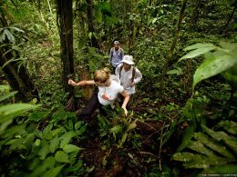 Unexplored Jungles in the World Nature's Hidden Treasures