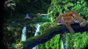 Unexplored Jungles in the World Nature's Hidden Treasures