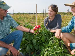 Eco-Friendly Farming: The Impact of Education on Sustainable Practices