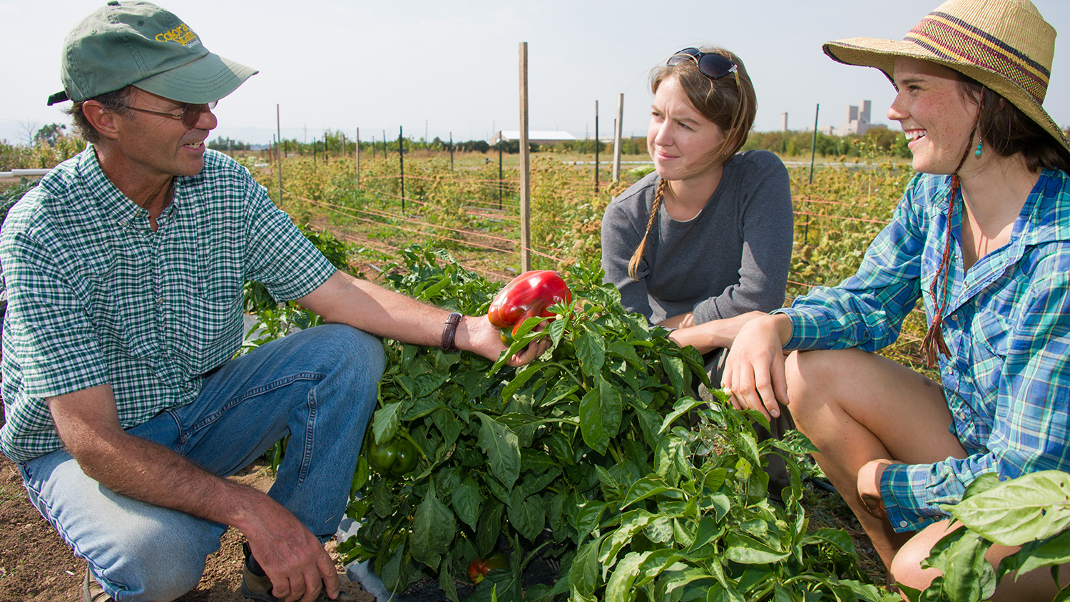 The Impact of agricultural education on Sustainable Practices.