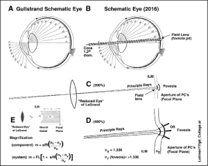 Science of Optics and the Human Experience