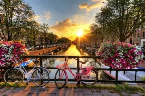 Blooming Tranquility Flower Market Hotel Amsterdam