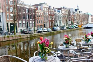 Blooming Tranquility Flower Market Hotel Amsterdam