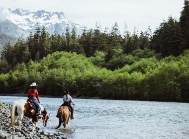 Boutique Wineries of Vancouver Island