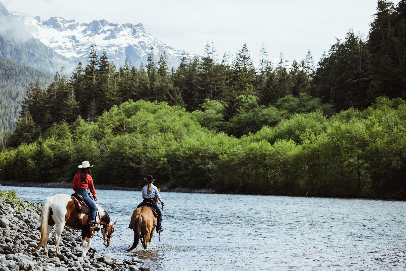 Boutique Wineries of Vancouver Island