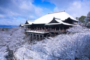 Discovering Kyoto's Buddhist Temples