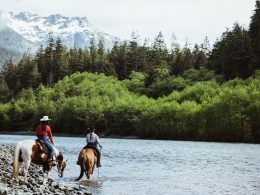 Exploring Vancouver Island's Wineries