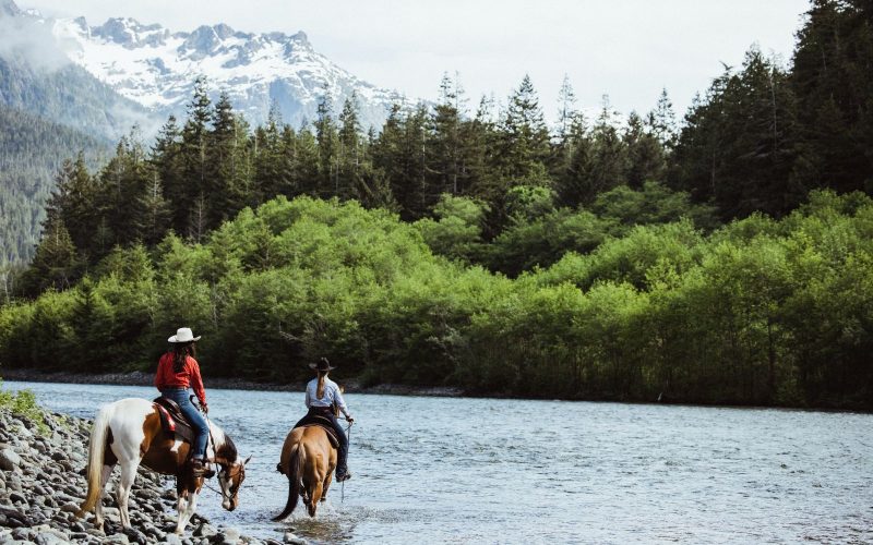 Exploring Vancouver Island's Wineries