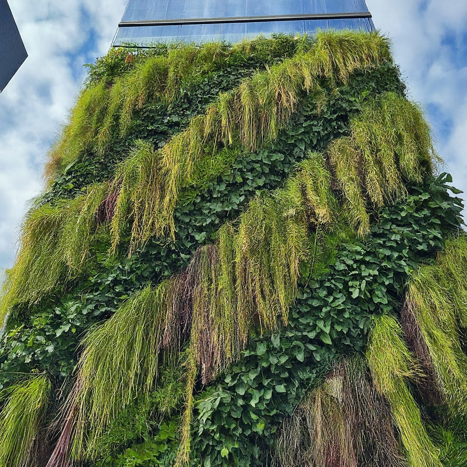 Wasteland to Wonderland: Reimagine Cityscapes with Greenery