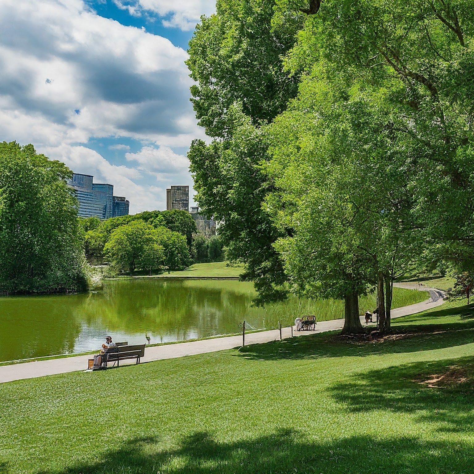 Wasteland to Wonderland: Reimagine Cityscapes with Greenery