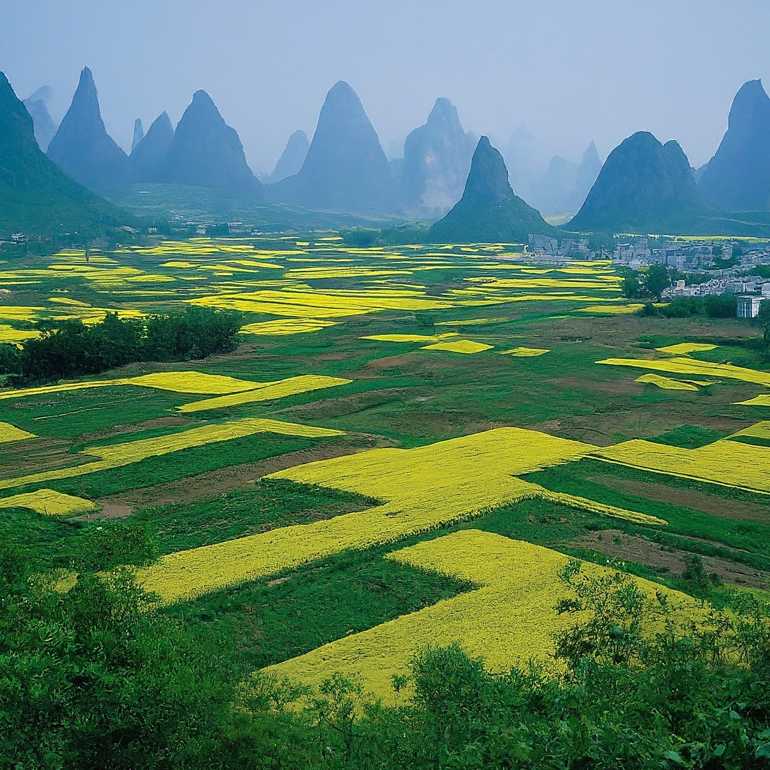 China's Eggs-traordinary Delicacy: Worth a Crack?