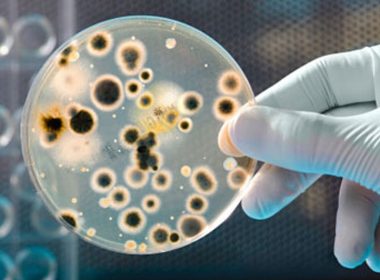 industrial microbiology testing services