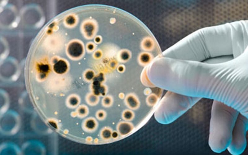 industrial microbiology testing services