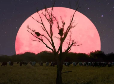 April’s Pink Moon Emerges This Week