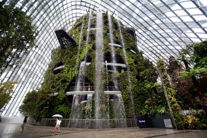 restaurant at botanic garden Singapore