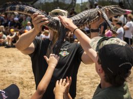 Rangers: Unveiling the Elite at Open House