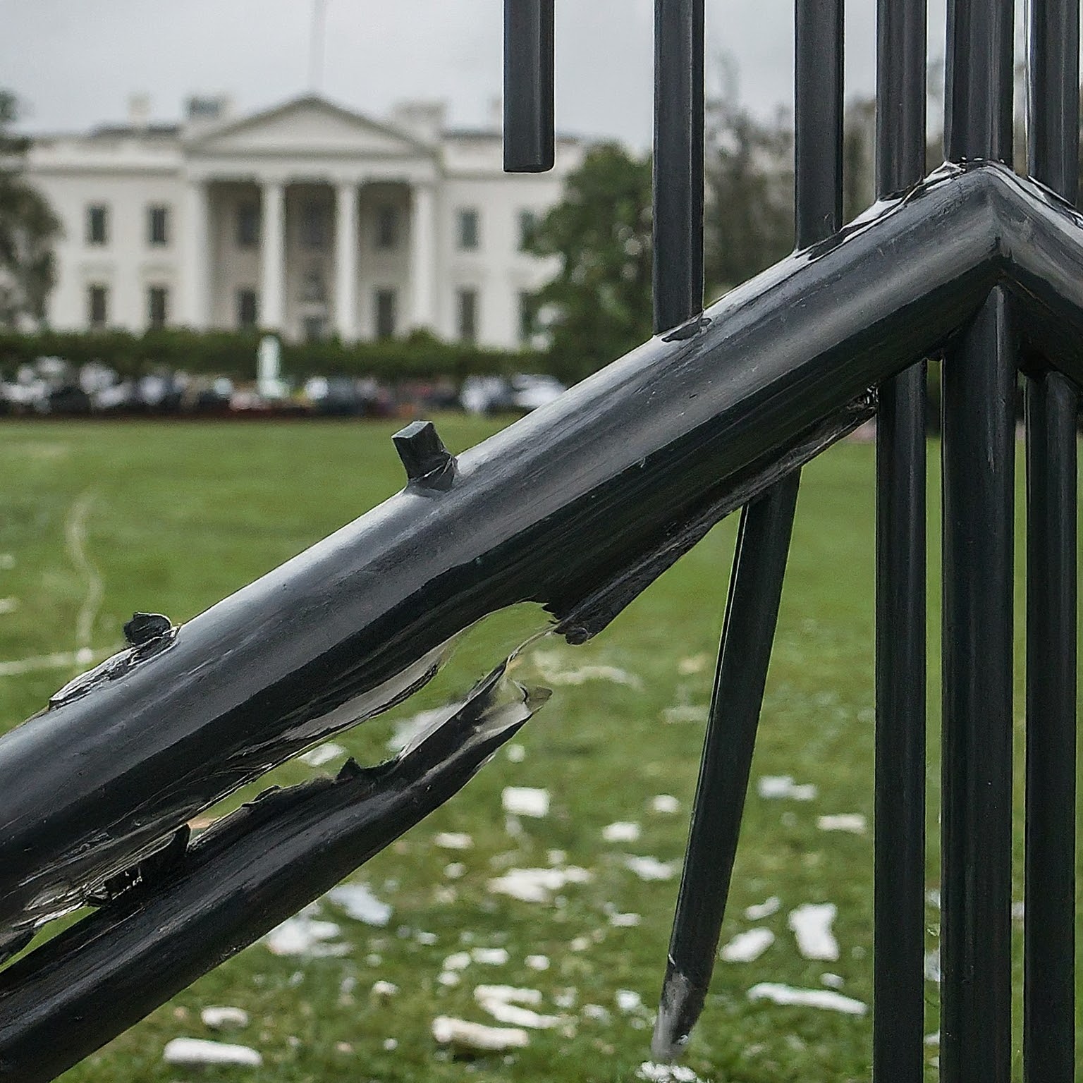 White House Crash: Driver Dead, Security Questions Raised