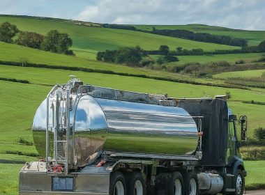 Protecting People & Milk: Bird Flu Tests for Cows & Farmworkers