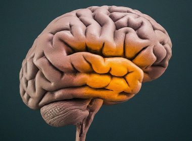 Sharpen Your Focus: Brain Training Techniques for Laser-Like Concentration