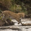 Wildlife Spots in Australia