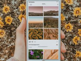 Master Your Insta Look: Hacks for a Cohesive Feed