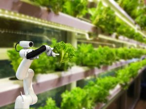 AI in Agriculture