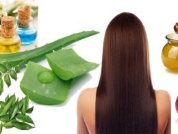 The Surge in Popularity of Rosemary Oil for Haircare