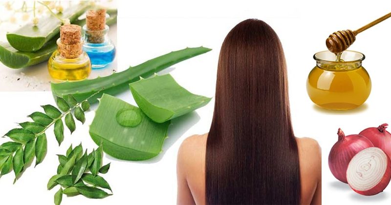 The Surge in Popularity of Rosemary Oil for Haircare