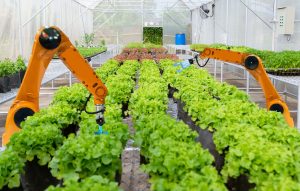 AI in Agriculture