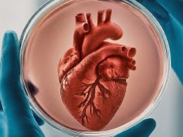 Heart Health Revolution: Latest Breakthroughs in Cardiovascular Care