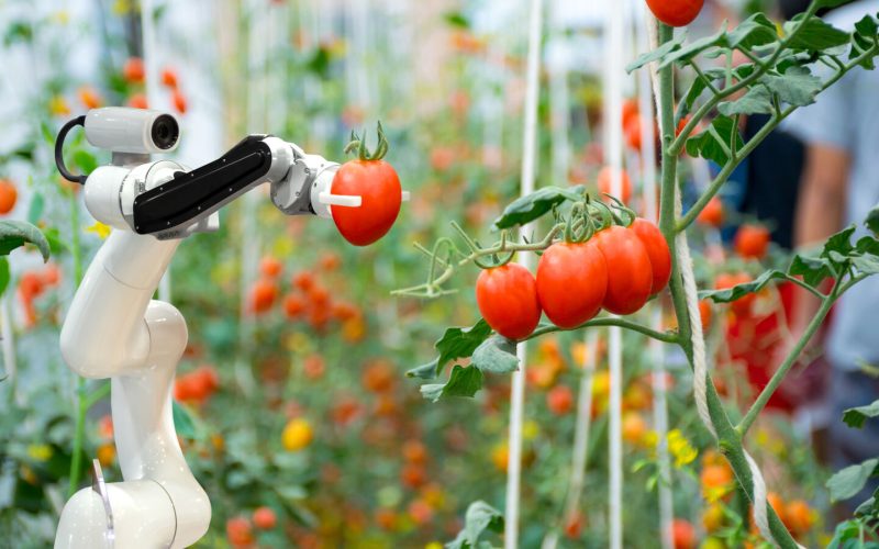 AI in Agriculture