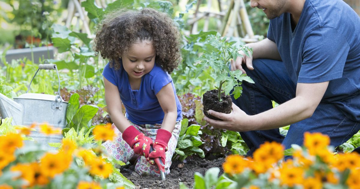 How to Start a Community Garden?