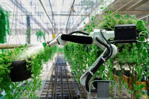 AI in Agriculture