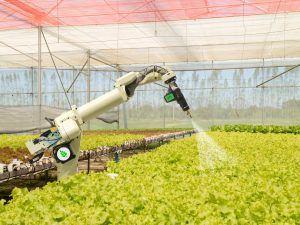 AI in Agriculture