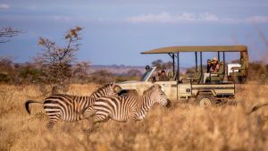 Top Destinations for Wildlife Safaris