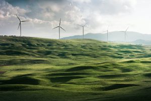 Innovations in Renewable Energy: Solar and Wind Power