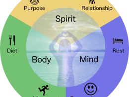 Trends in Holistic Health: Integrating Mind, Body, & Spirit