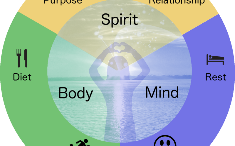 Trends in Holistic Health: Integrating Mind, Body, & Spirit