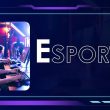 Esport Industry