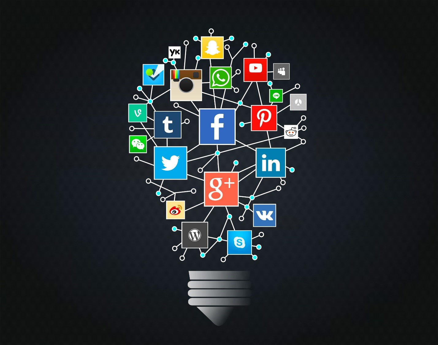 Top Social Media Platforms for Businesses in 2024