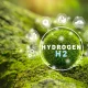 Green Hydrogen