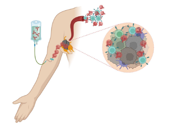 New Trends in Immunotherapy for Skin Cancer