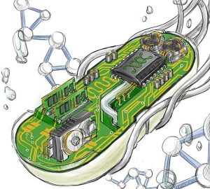 Biotechnology 