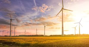 Renewable Energy and You: Simple Steps Toward a Sustainable Lifestyle