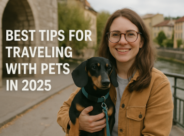 Tips for Traveling with Pets 2025