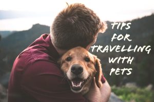 Tips for Traveling with Pets 2025