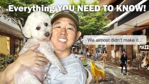 Tips for Traveling with Pets 2025