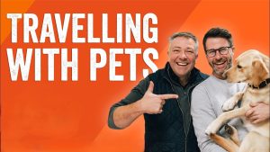 Tips for Traveling with Pets 2025