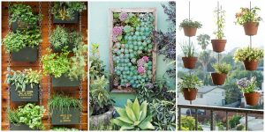 Vertical Indoor Gardens Transforming Small Home Spaces